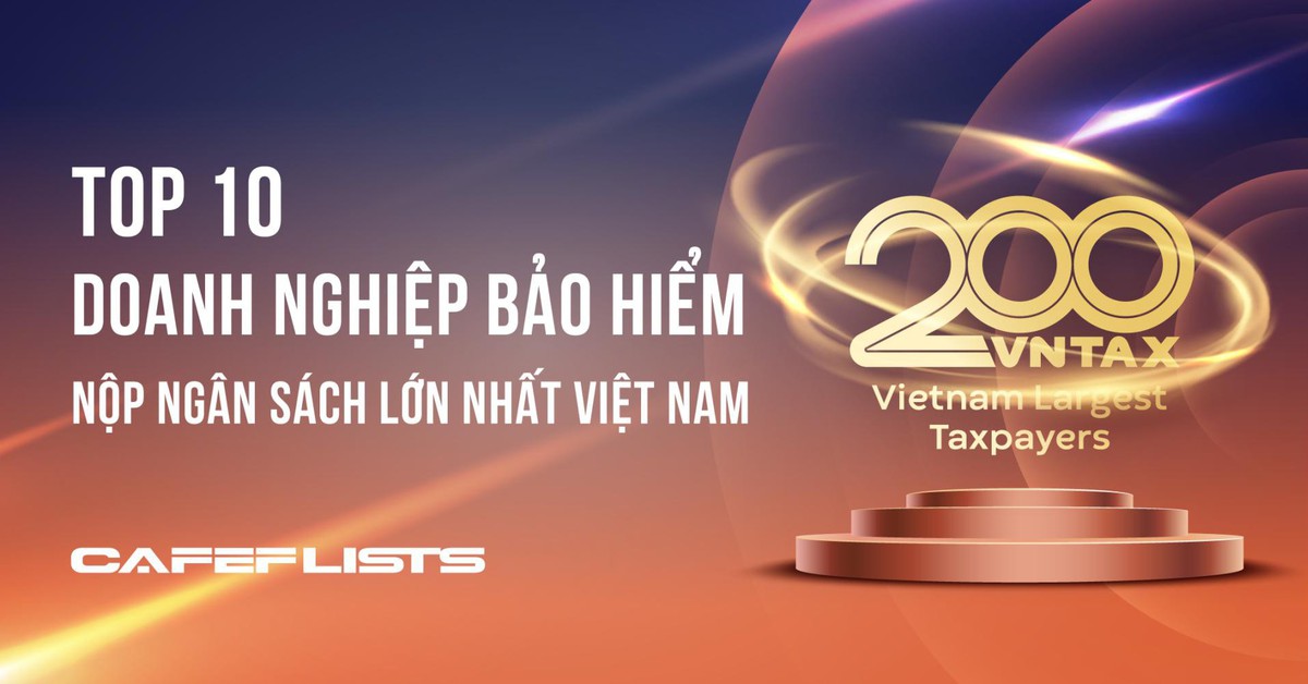 Nhân viên xem xét hồ sơ tài chính bảo hiểm